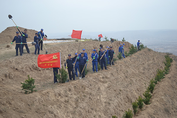 公司积极参加植树造林活动